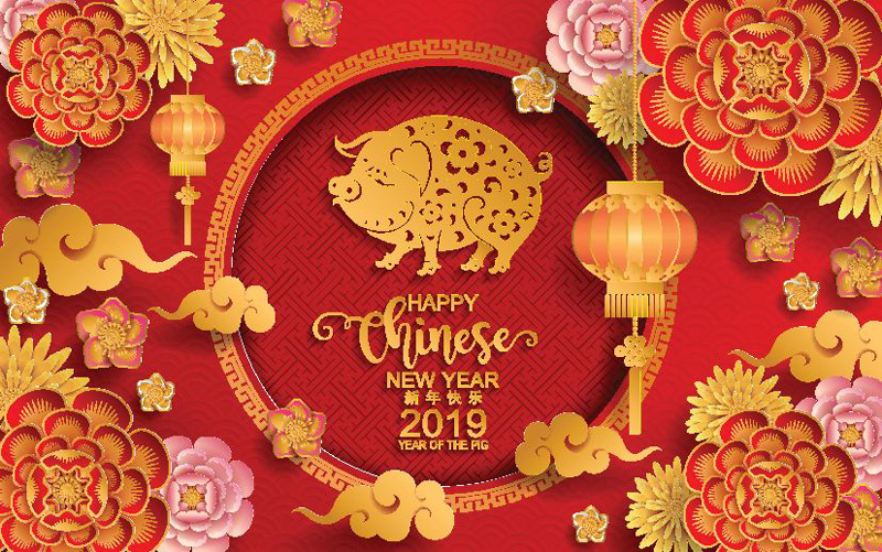 Happy Chinese lunar new year for the year of pig